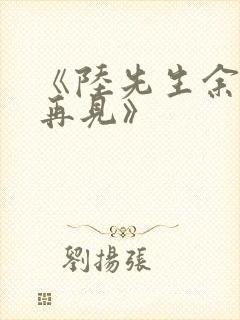 《陆先生余生不再见》