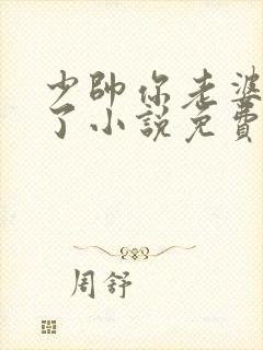 少帅你老婆又跑了小说免费看