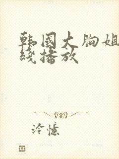 韩国大胸姐姐在线播放