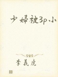 少妇被3p小说