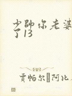 少帅你老婆又跑了13