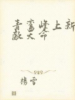 青鸾峰上新书无敌天命