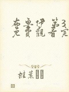 布鲁伊 第3季免费观看完整版在线全集封面