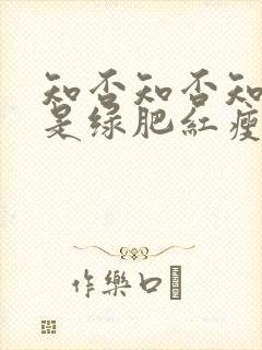 知否知否知否应是绿肥红瘦是哪朝的