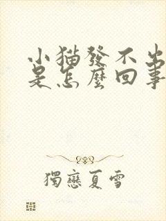 小猫发不出声音是怎么回事