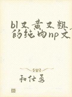 bl又黄又粗暴的纯肉np文