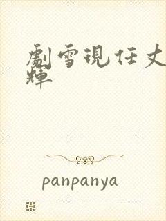 剧雪现任丈夫王辉封面