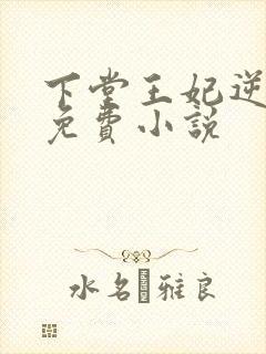 下堂王妃逆袭记免费小说封面