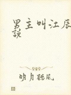 男主叫江辰的小说封面