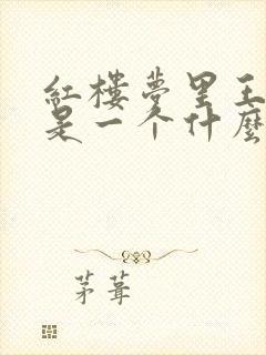 红楼梦里王熙凤是一个什么样的人