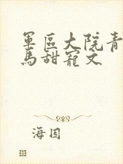 军区大院青梅竹马甜宠文