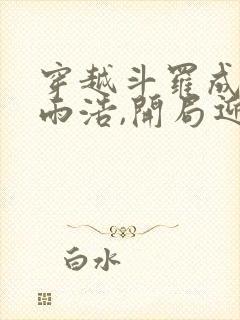 穿越斗罗成为霍雨浩,开局迎娶银龙王封面