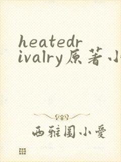 heatedrivalry原著小说叫什么名字
