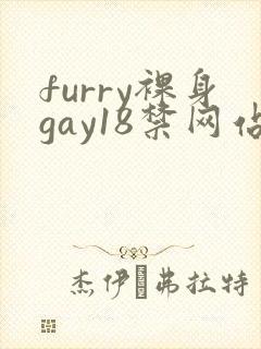 furry裸身gay18禁网站