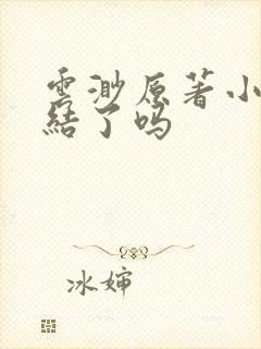 云渺原著小说完结了吗