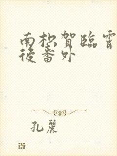 南枳贺临霄结局后番外