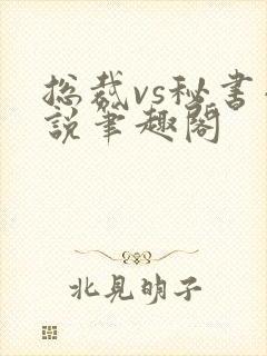 总裁vs秘书小说笔趣阁