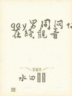 gay男同网站在线观看
