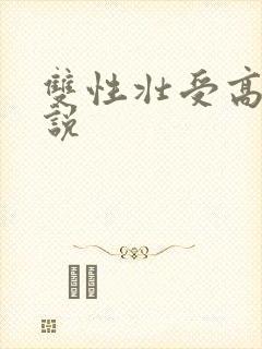 双性壮受高h小说