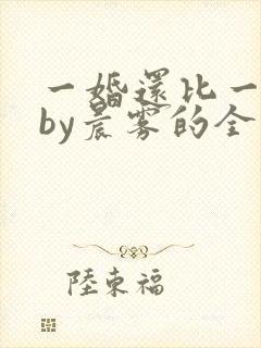 一婚还比一婚高by晨雾的全文阅读