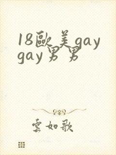 18欧美gaygay男男