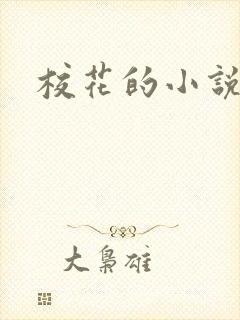 校花的小说h封面