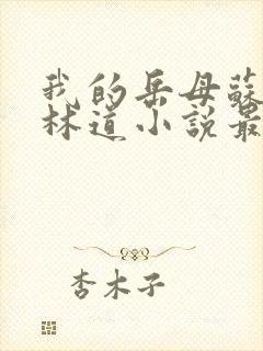 我的岳母苏沛真林道小说最新章节下载