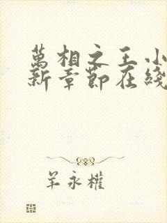 万相之王小说最新章节在线