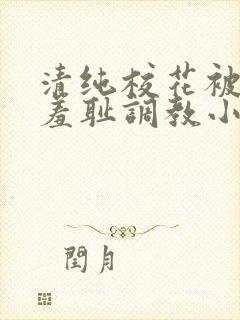 清纯校花被民工羞耻调教小说