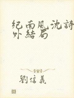 纪南风沈诗澜番外结局