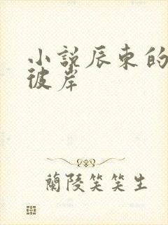 小说辰东的深空彼岸