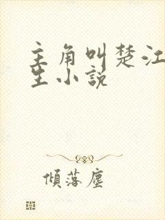 主角叫楚江的重生小说