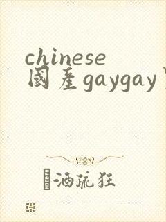 chinese国产gaygay男男网站