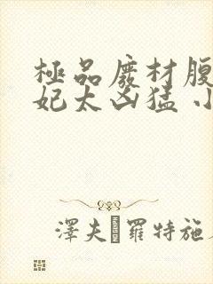 极品废材腹黑狂妃太凶猛 小说封面