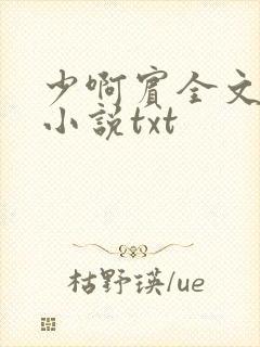 少啊宾全文阅读小说txt