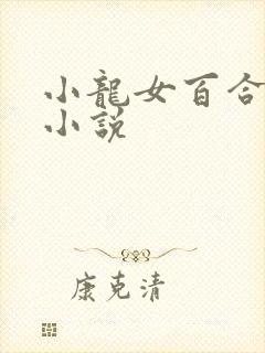 小龙女百合同人小说