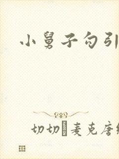 小舅子勾引姐夫