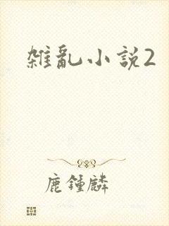 杂乱小说2