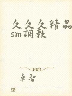 久久久精品国产sm调教封面