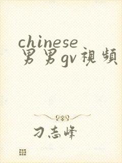chinese男男gv视频