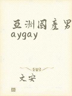 亚洲国产男同gaygay