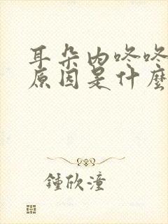 耳朵内咚咚响的原因是什么