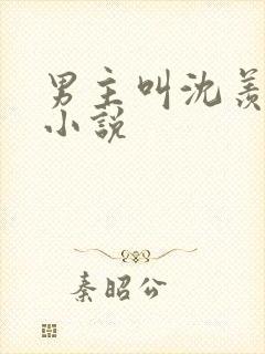 男主叫沈羡之的小说