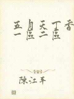 五月天丁香婷婷一区二区