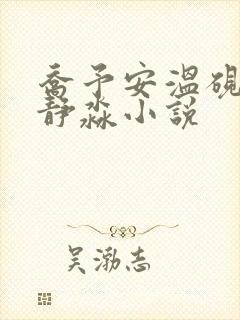 乔予安温砚深沈静淼小说