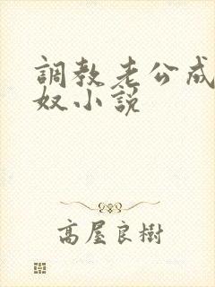 调教老公成绿帽奴小说封面