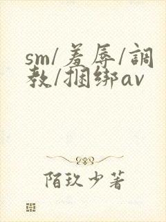 sm/羞辱/调教/捆绑av