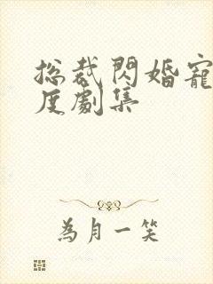 总裁闪婚宠妻无度剧集