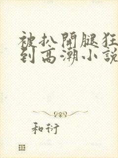 被扒开腿狂躁c到高潮小说双男