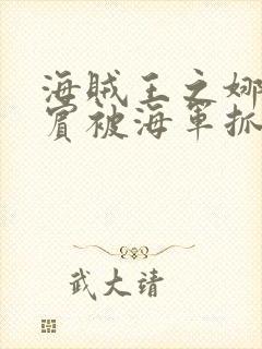 海贼王之娜美罗宾被海军抓住小说